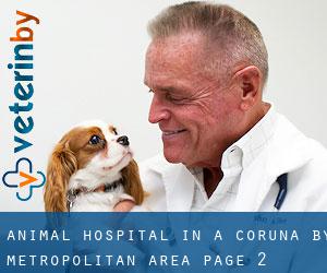 Animal Hospital in A Coruña by metropolitan area - page 2