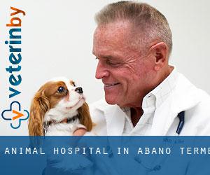 Animal Hospital in Abano Terme