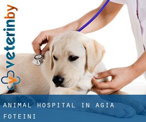 Animal Hospital in Agía Foteiní