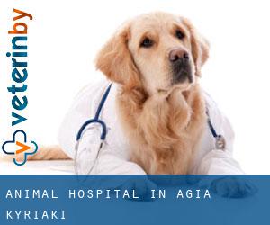 Animal Hospital in Agía Kyriakí