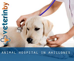 Animal Hospital in Ahillones