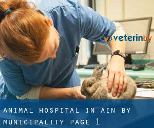 Animal Hospital in Ain by municipality - page 1