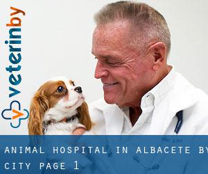 Animal Hospital in Albacete by city - page 1