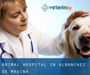 Animal Hospital in Albanchez de Mágina