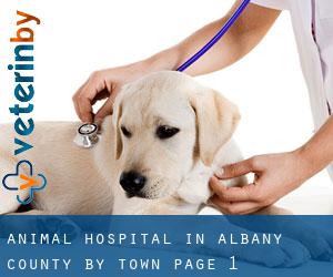 Animal Hospital in Albany County by town - page 1