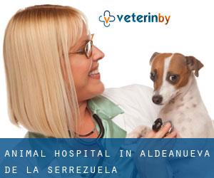 Animal Hospital in Aldeanueva de la Serrezuela