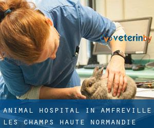 Animal Hospital in Amfreville-les-Champs (Haute-Normandie)