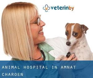Animal Hospital in Amnat Charoen