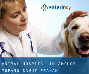 Animal Hospital in Amphoe Mueang Samut Prakan