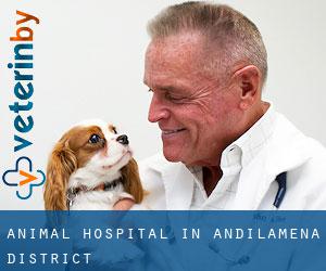 Animal Hospital in Andilamena District