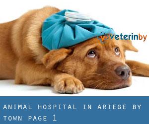 Animal Hospital in Ariège by town - page 1