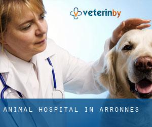 Animal Hospital in Arronnes