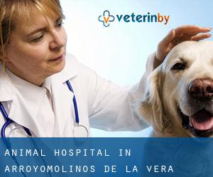 Animal Hospital in Arroyomolinos de la Vera
