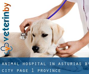 Animal Hospital in Asturias by city - page 1 (Province)