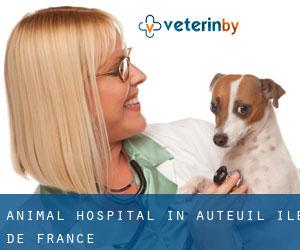 Animal Hospital in Auteuil (Île-de-France)