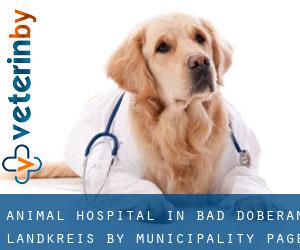 Animal Hospital in Bad Doberan Landkreis by municipality - page 1