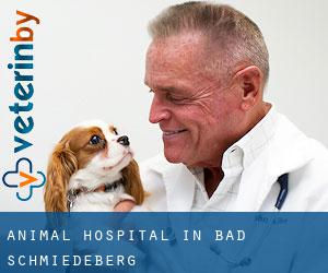 Animal Hospital in Bad Schmiedeberg
