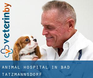 Animal Hospital in Bad Tatzmannsdorf