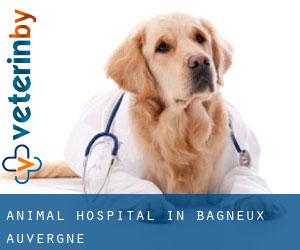 Animal Hospital in Bagneux (Auvergne)