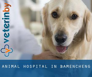 Animal Hospital in Bamencheng