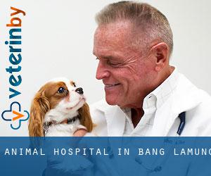 Animal Hospital in Bang Lamung