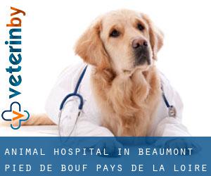 Animal Hospital in Beaumont-Pied-de-Bœuf (Pays de la Loire)
