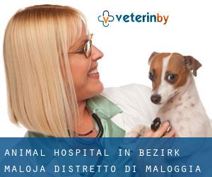 Animal Hospital in Bezirk Maloja / Distretto di Maloggia