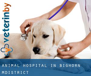 Animal Hospital in Bighorn M.District