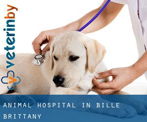 Animal Hospital in Billé (Brittany)