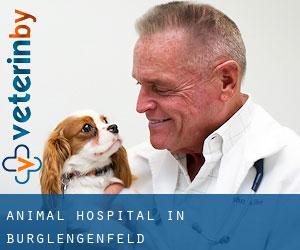 Animal Hospital in Burglengenfeld