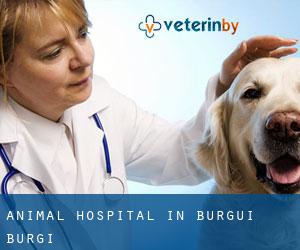 Animal Hospital in Burgui / Burgi
