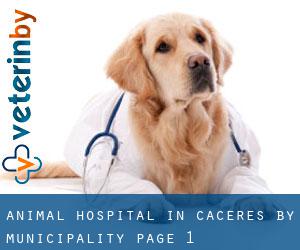 Animal Hospital in Caceres by municipality - page 1
