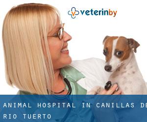 Animal Hospital in Canillas de Río Tuerto