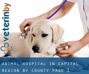 Animal Hospital in Capital Region by County - page 1