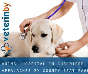 Animal Hospital in Chaudière-Appalaches by county seat - page 1
