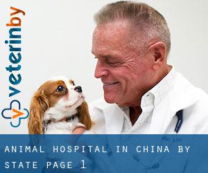 Animal Hospital in China by State - page 1