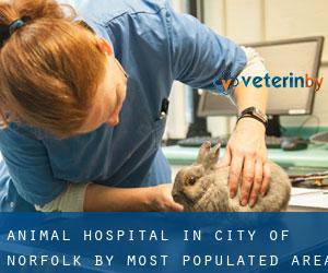 Animal Hospital in City of Norfolk by most populated area - page 1