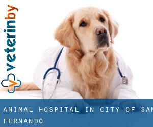 Animal Hospital in City of San Fernando