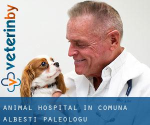 Animal Hospital in Comuna Albeşti-Paleologu
