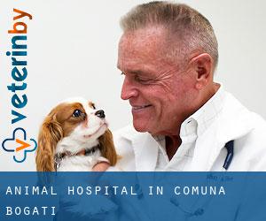 Animal Hospital in Comuna Bogaţi