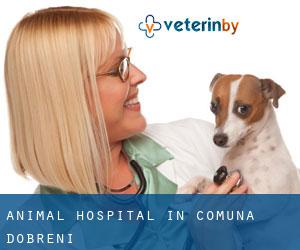 Animal Hospital in Comuna Dobreni