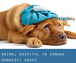 Animal Hospital in Comuna Domneşti (Argeş)