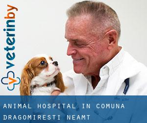 Animal Hospital in Comuna Dragomireşti (Neamţ)