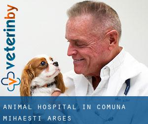 Animal Hospital in Comuna Mihăeşti (Argeş)