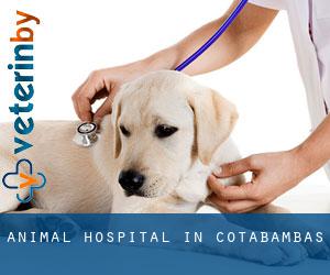 Animal Hospital in Cotabambas