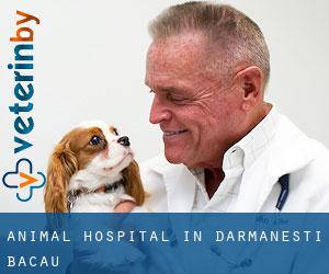 Animal Hospital in Dărmăneşti (Bacău)