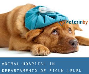 Animal Hospital in Departamento de Picún Leufú