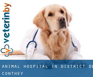 Animal Hospital in District de Conthey
