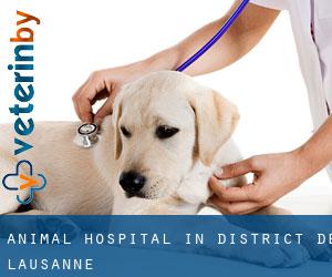 Animal Hospital in District de Lausanne