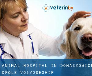 Animal Hospital in Domaszowice (Opole Voivodeship)
